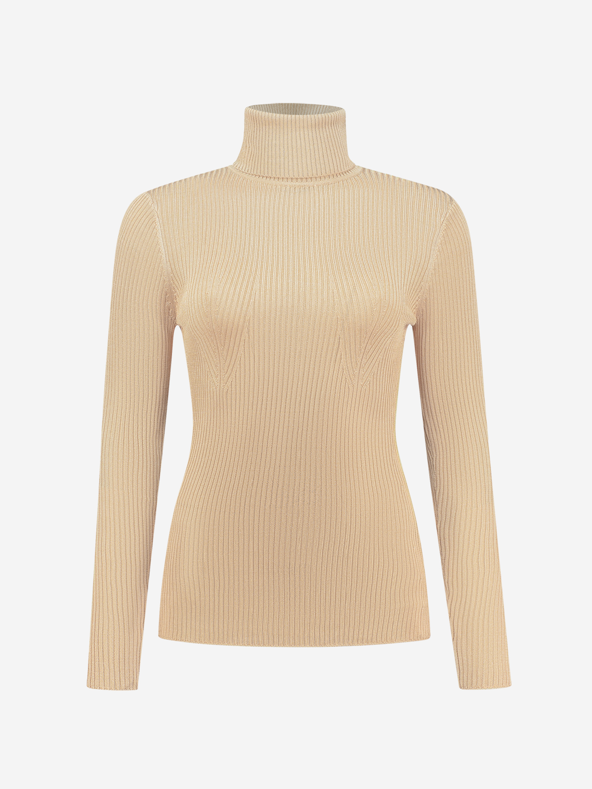 Basic fitted turtleneck top with long sleeves 