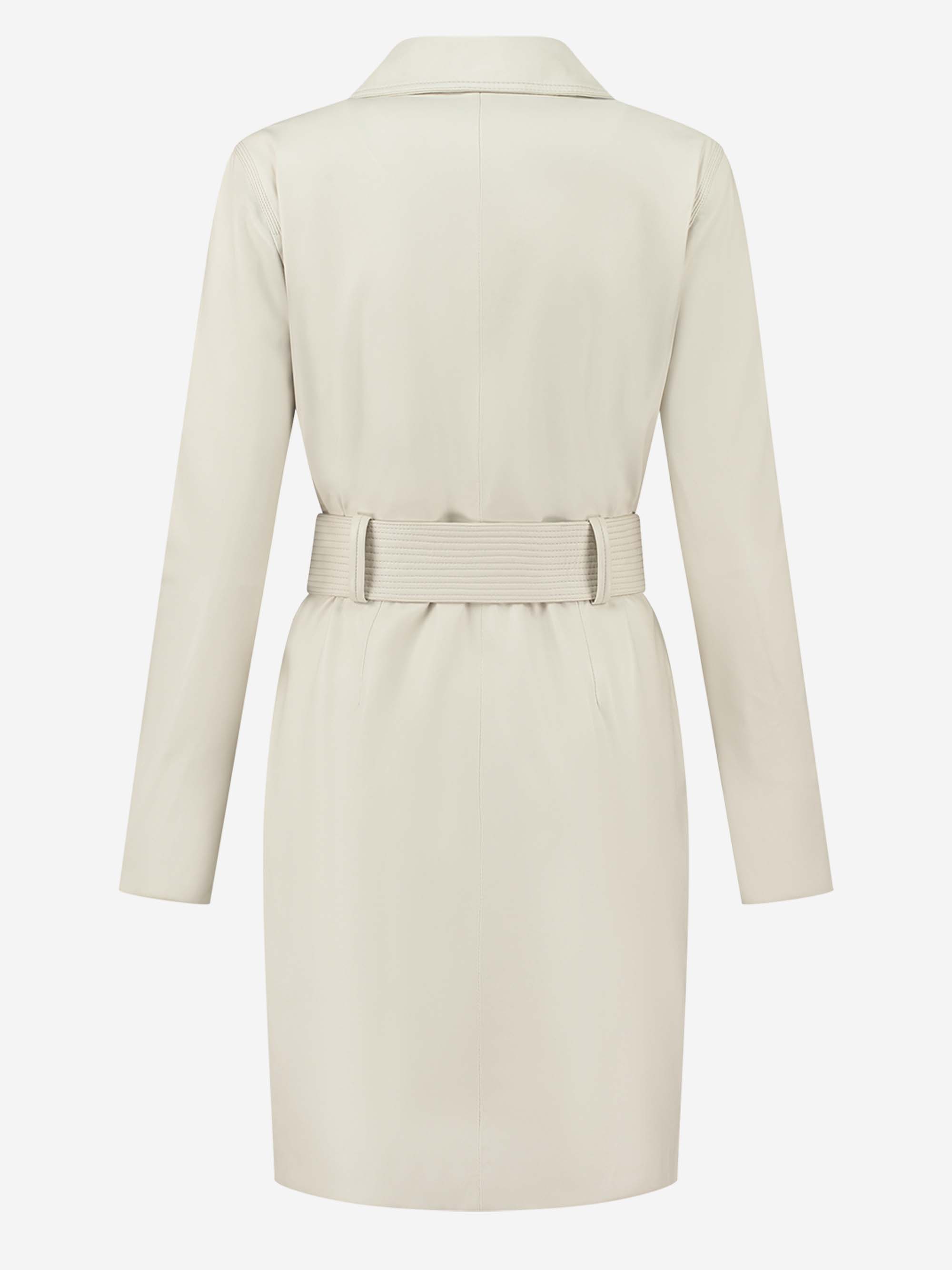 Mussi Dress