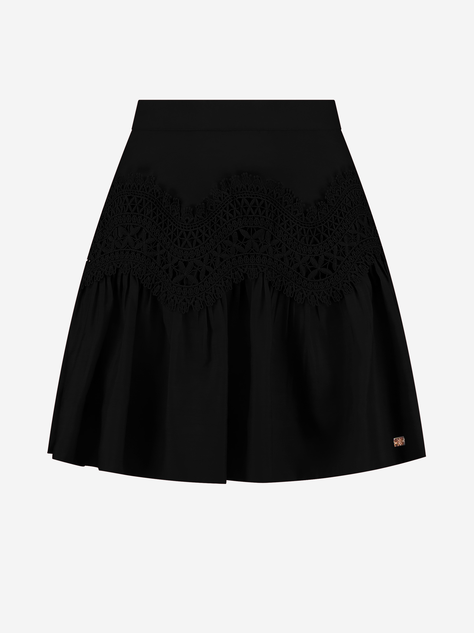 Skirt with embroidery