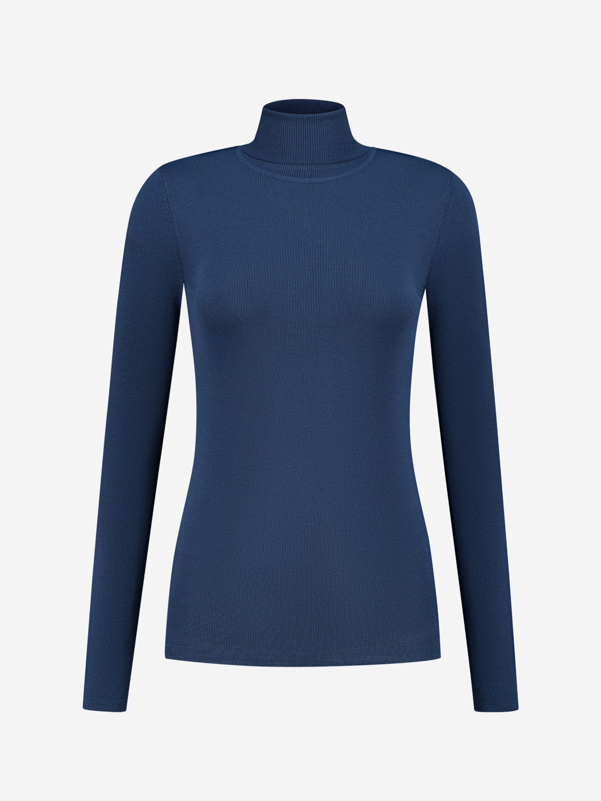 Fitted longsleeve with turtle neck  