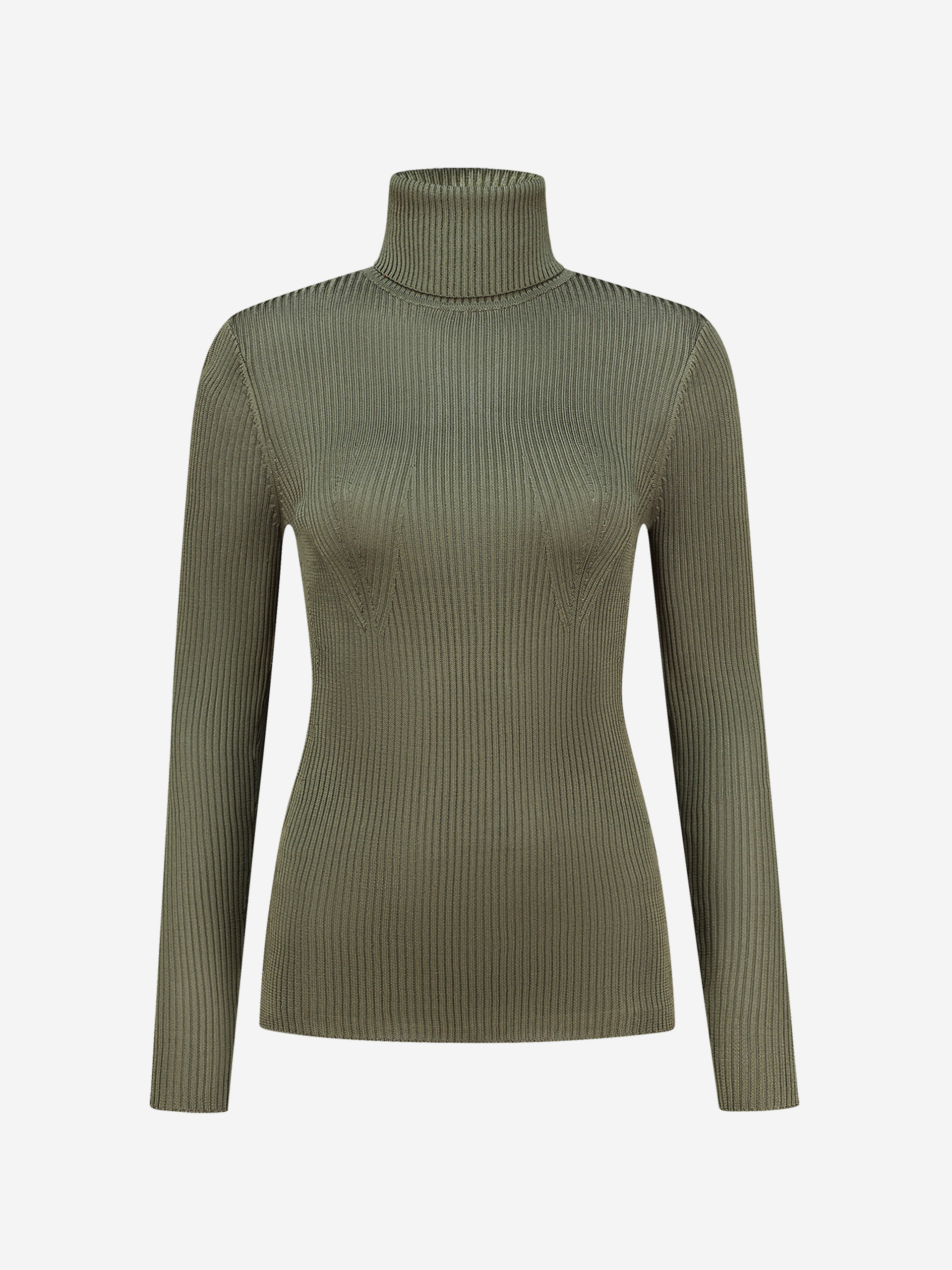 Basic fitted turtleneck top with long sleeves 