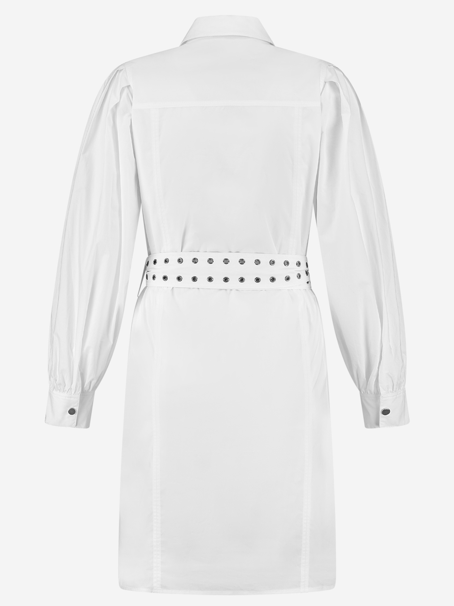 Sasha Dress