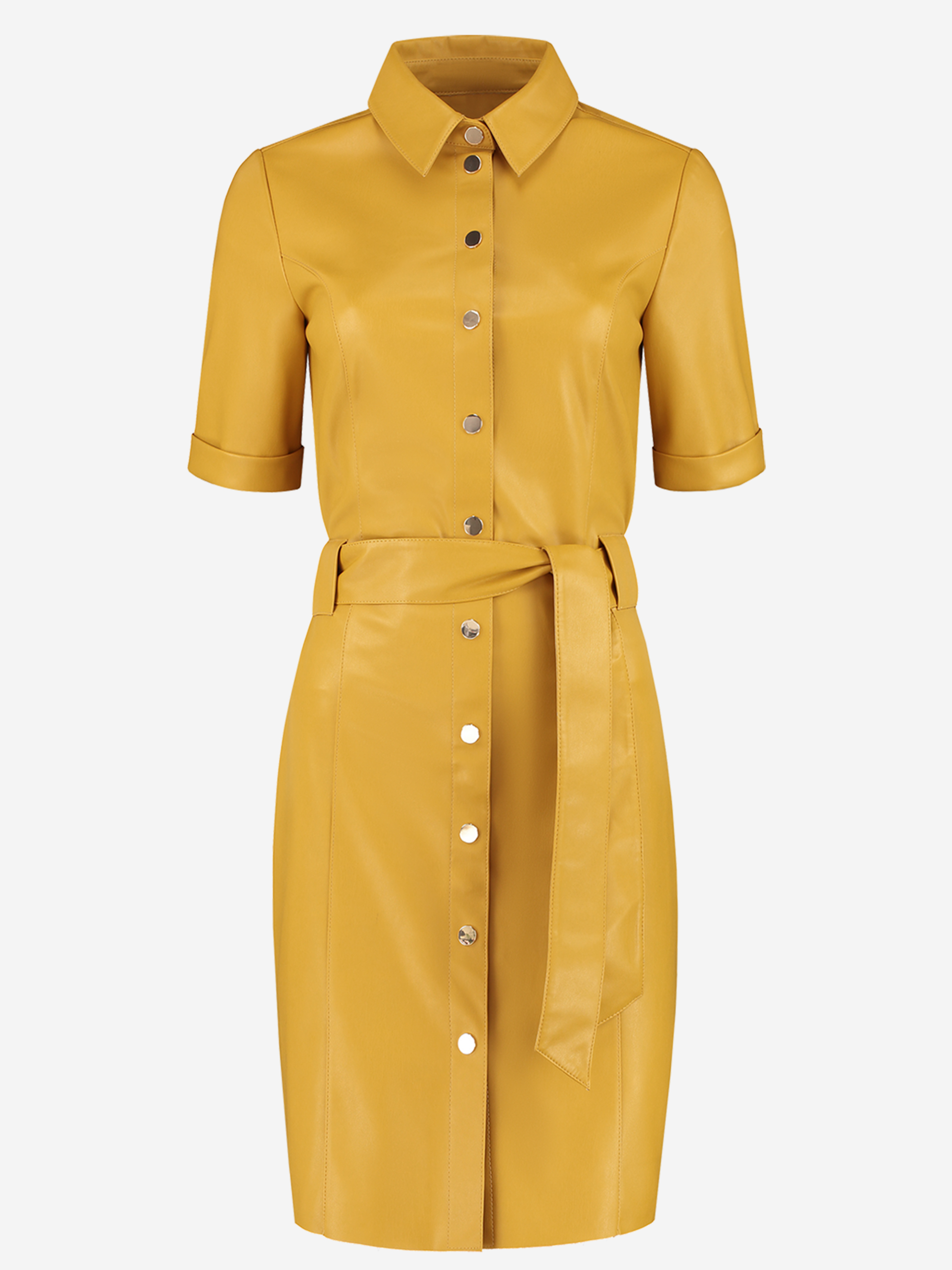 Maxim Belted Dress