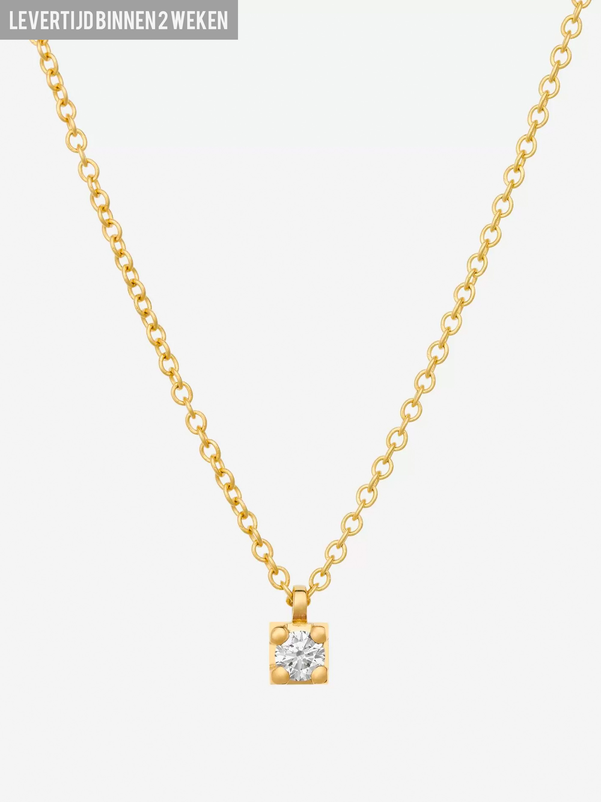 Diamond Necklace (0.10crt)