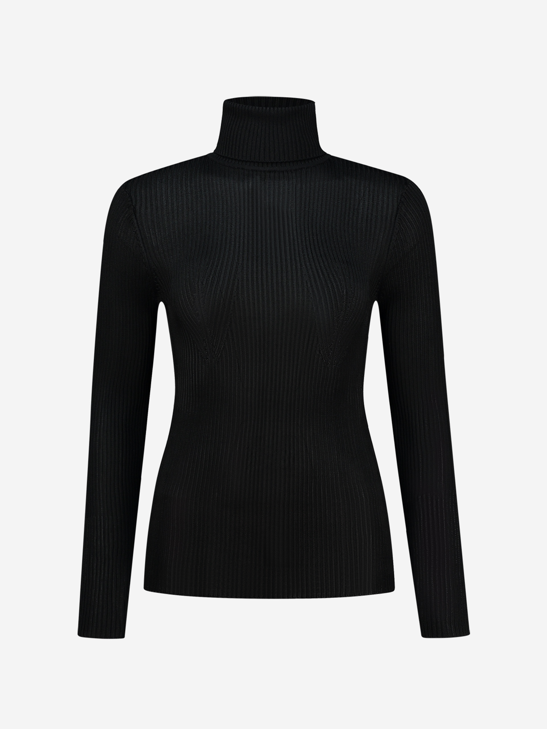 Basic fitted turtleneck top with long sleeves 