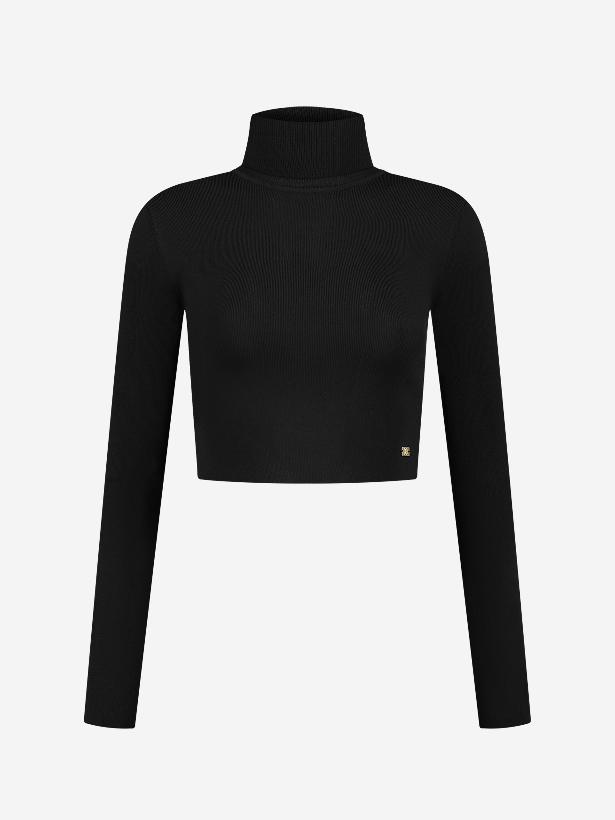 Fitted cropped longsleeve with turtle neck   