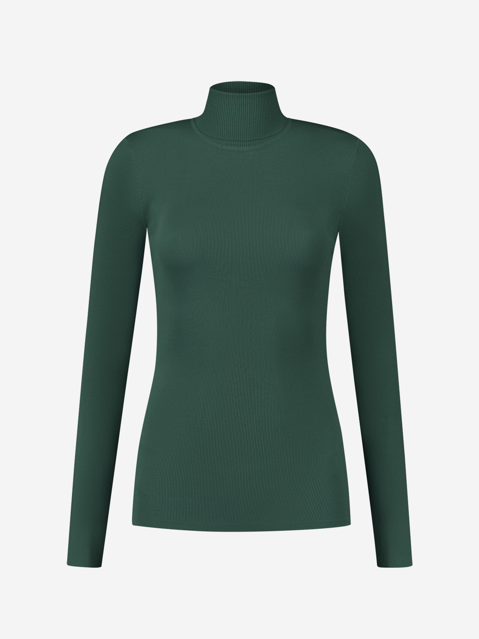 Jolie Turtle Top