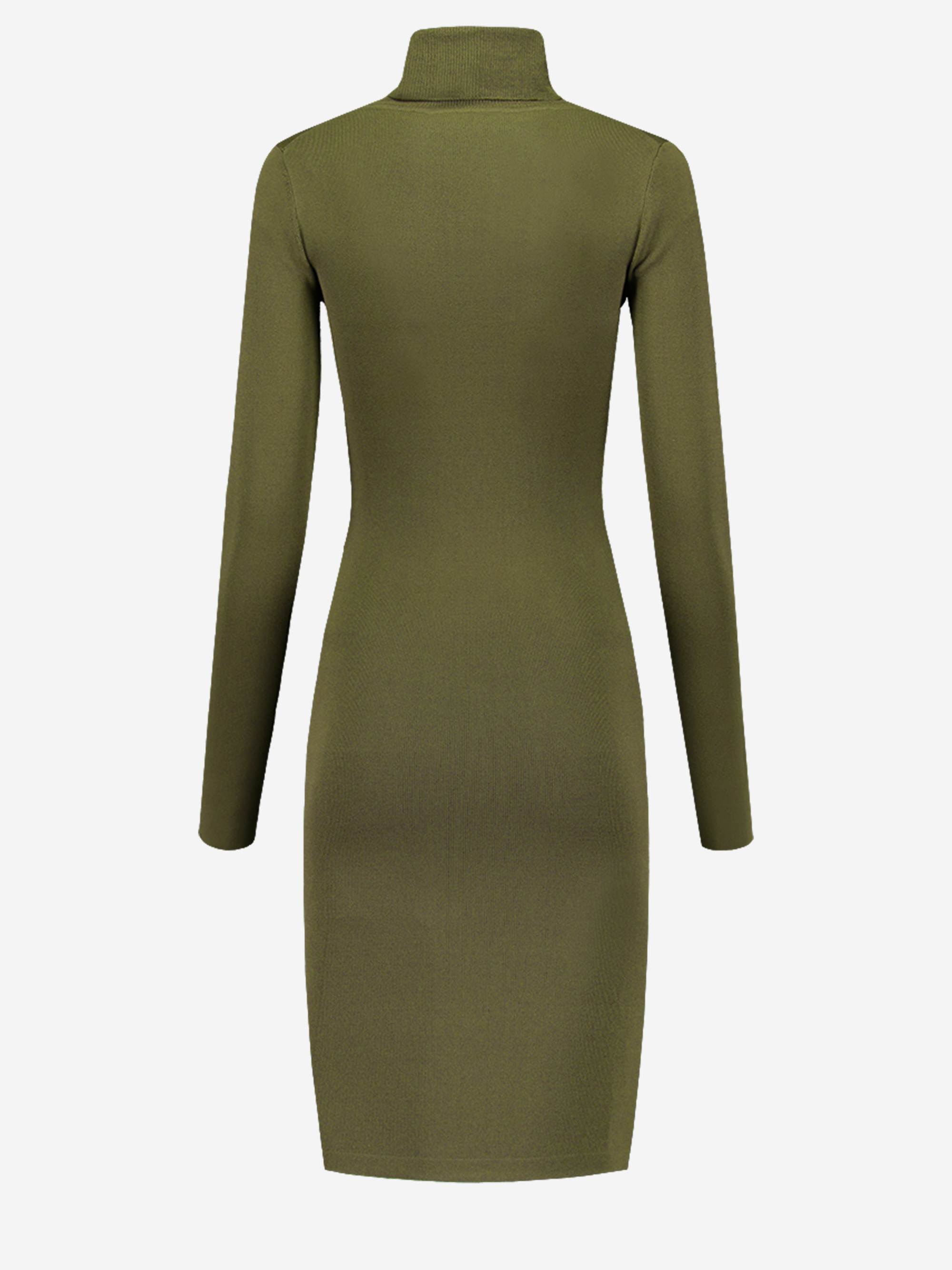 Jolie turtle dress