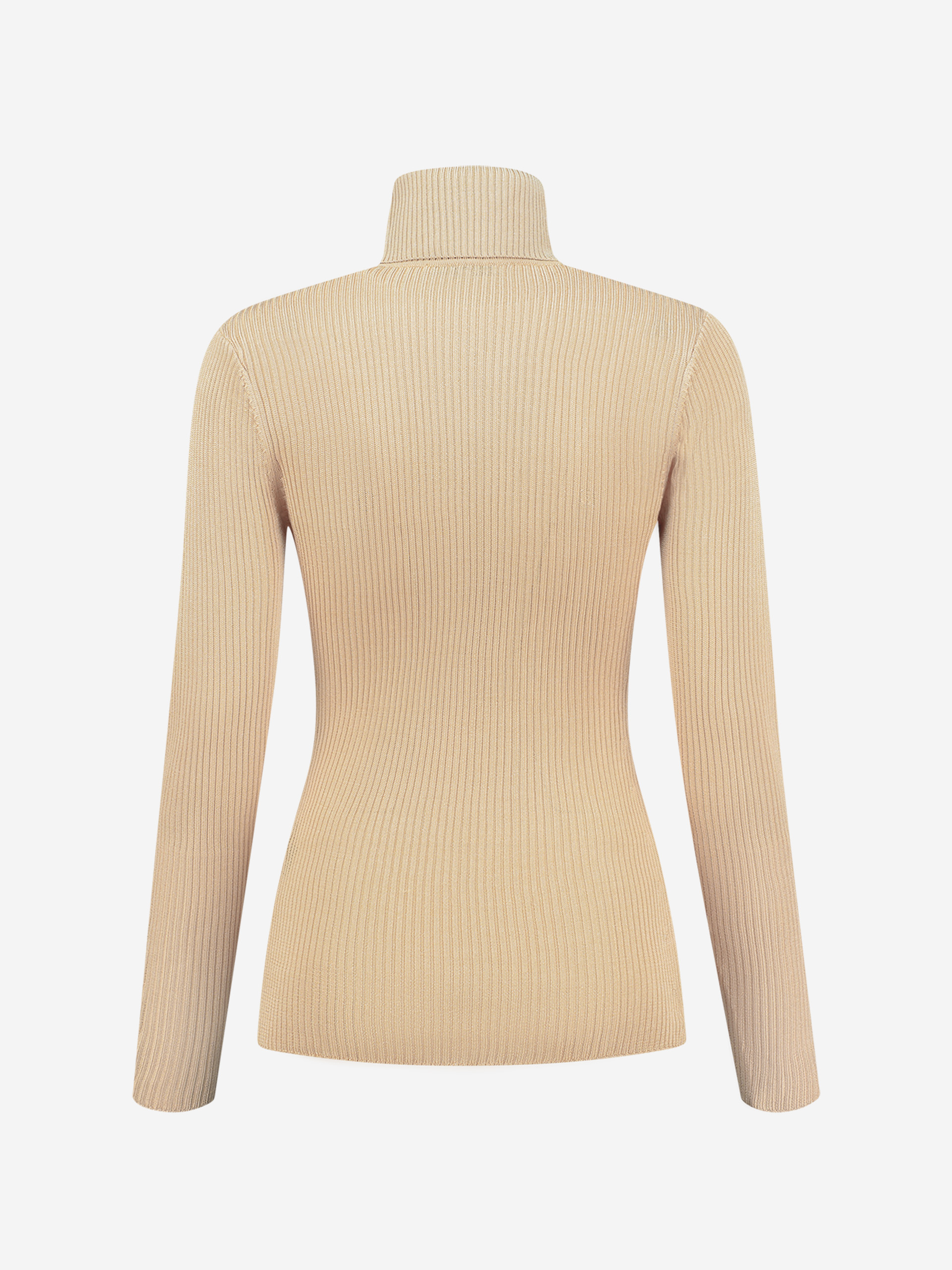 King Turtle Neck Top