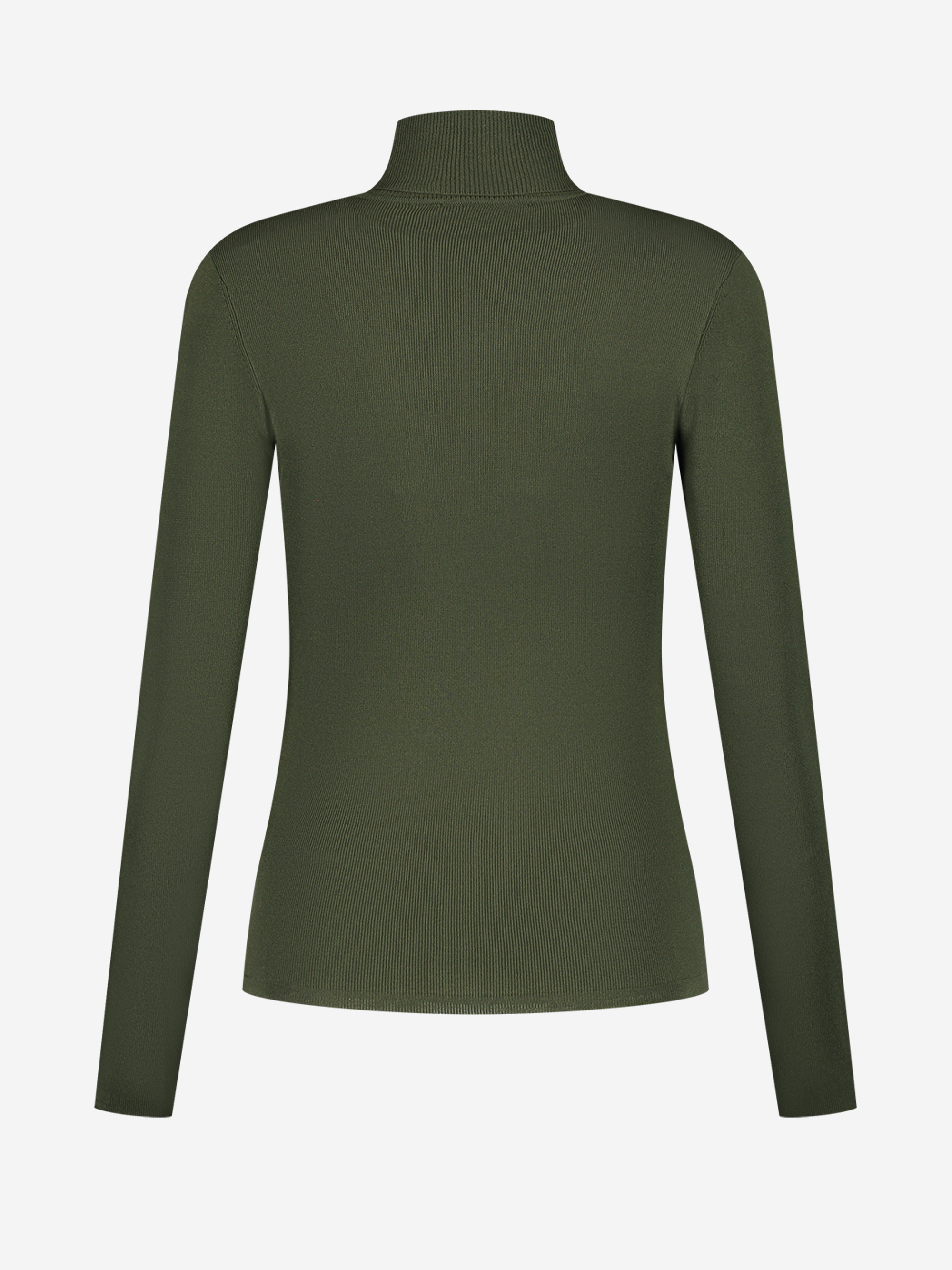 Jolie Ski Turtle Neck