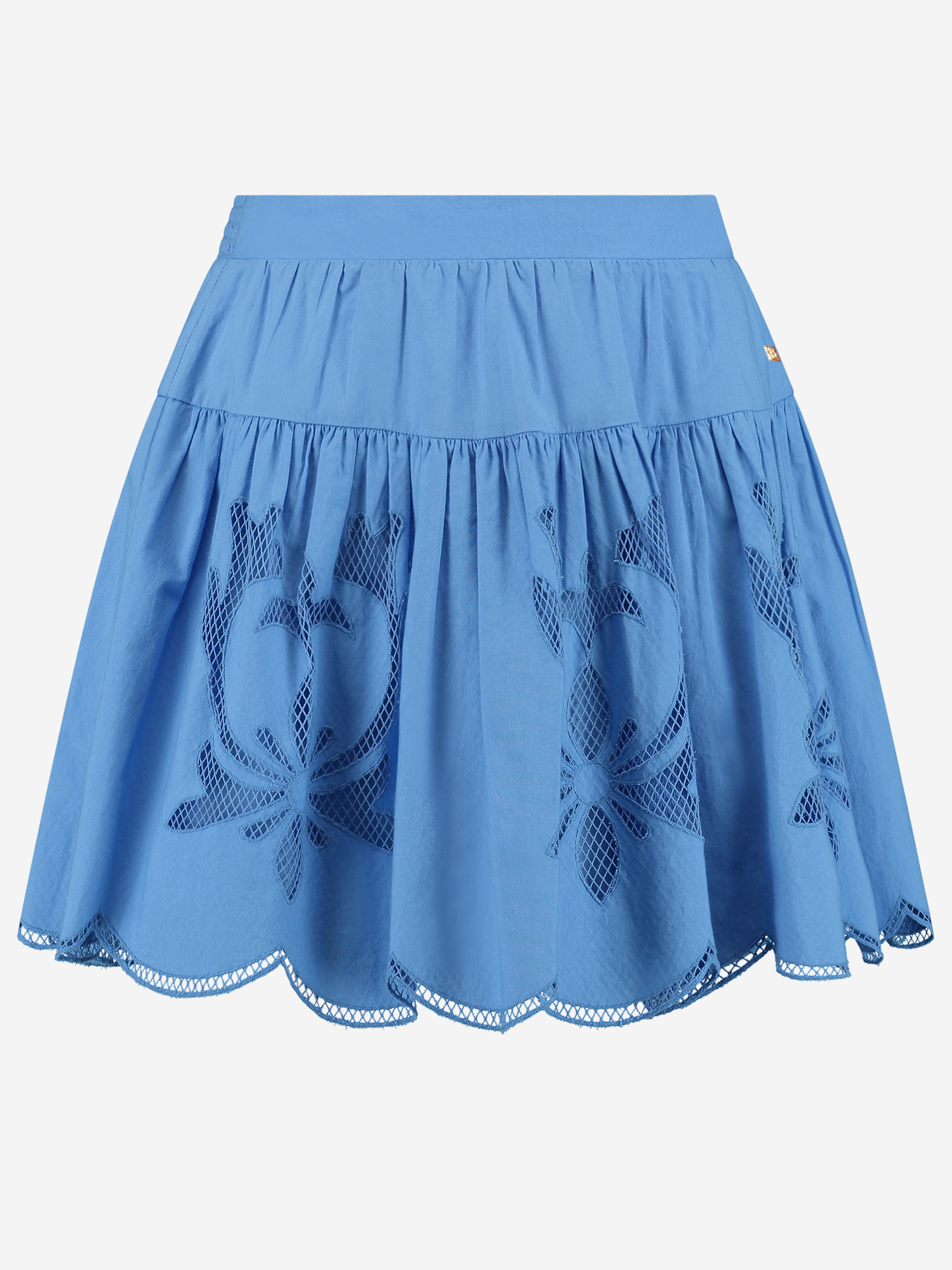 Skirt with embroidery