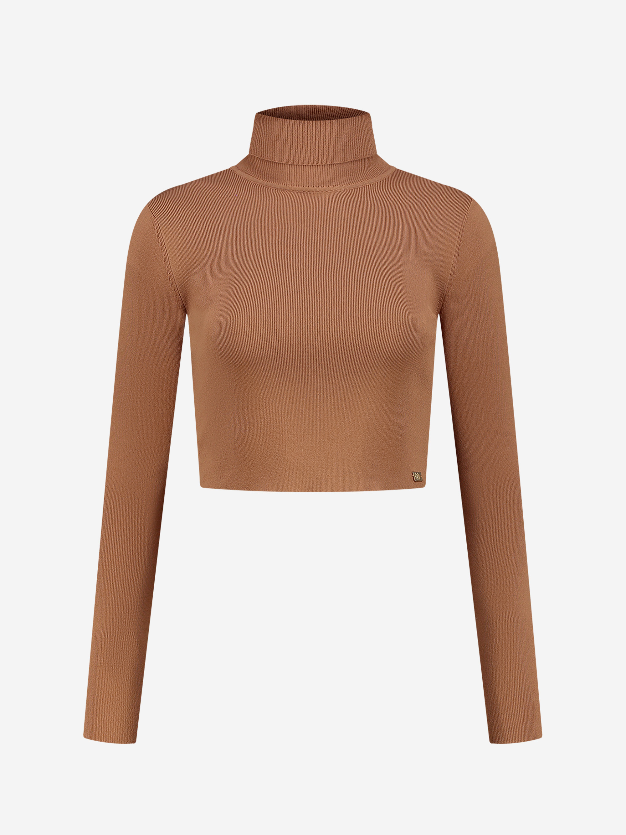  Fitted cropped longsleeve with turtle neck   