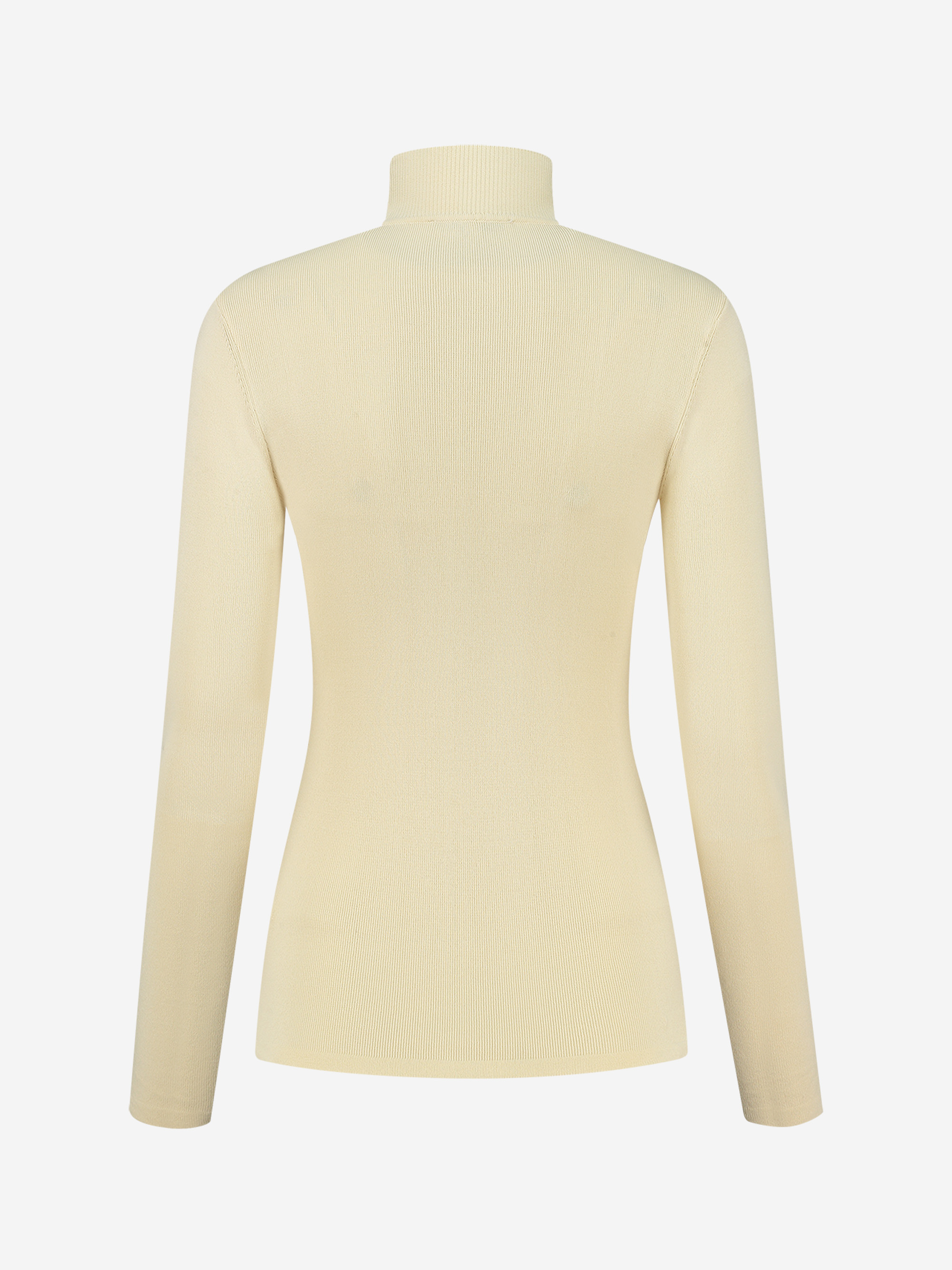 Fitted top with turtle neck 