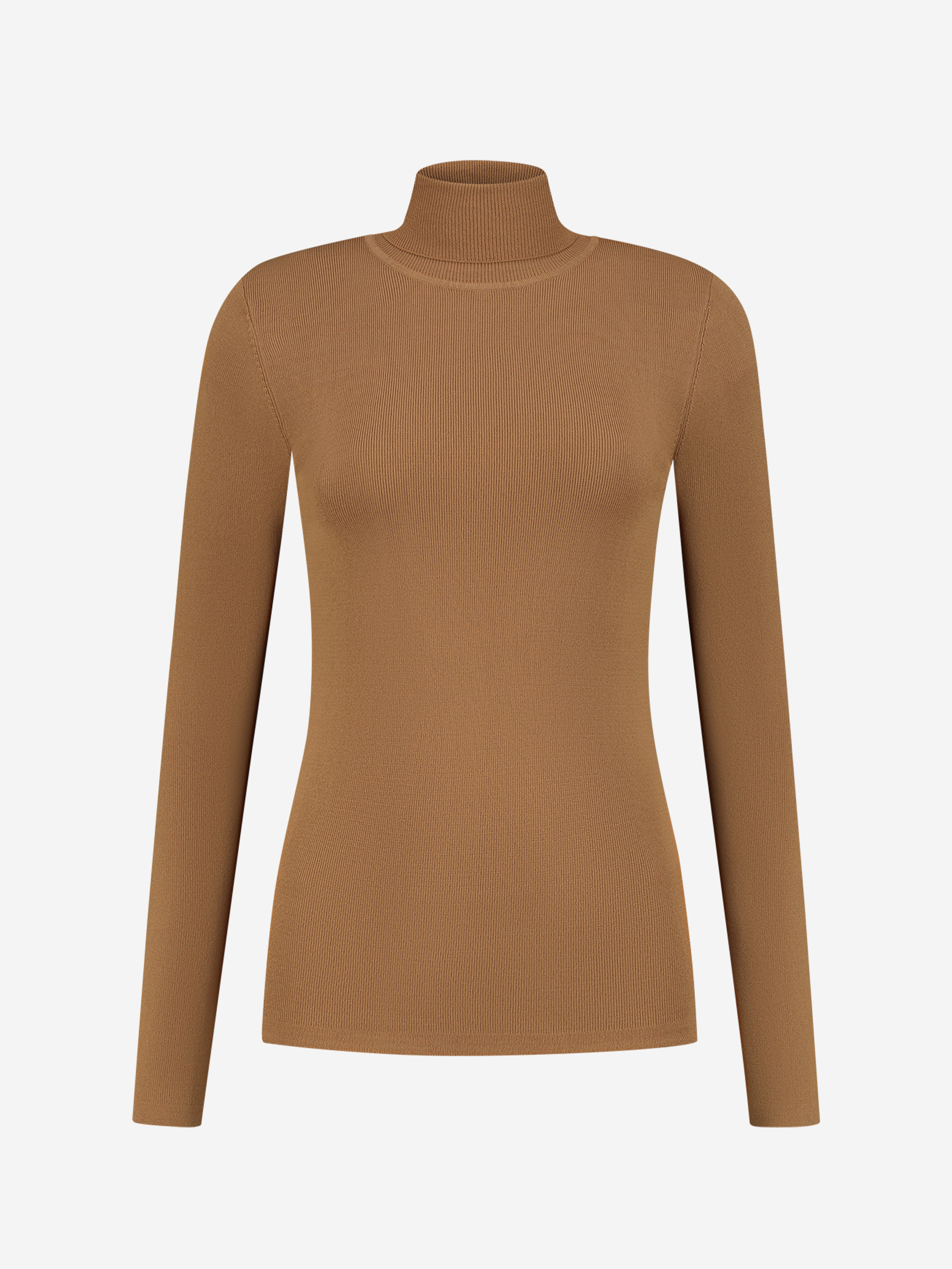 Fitted longsleeve with turtle neck  