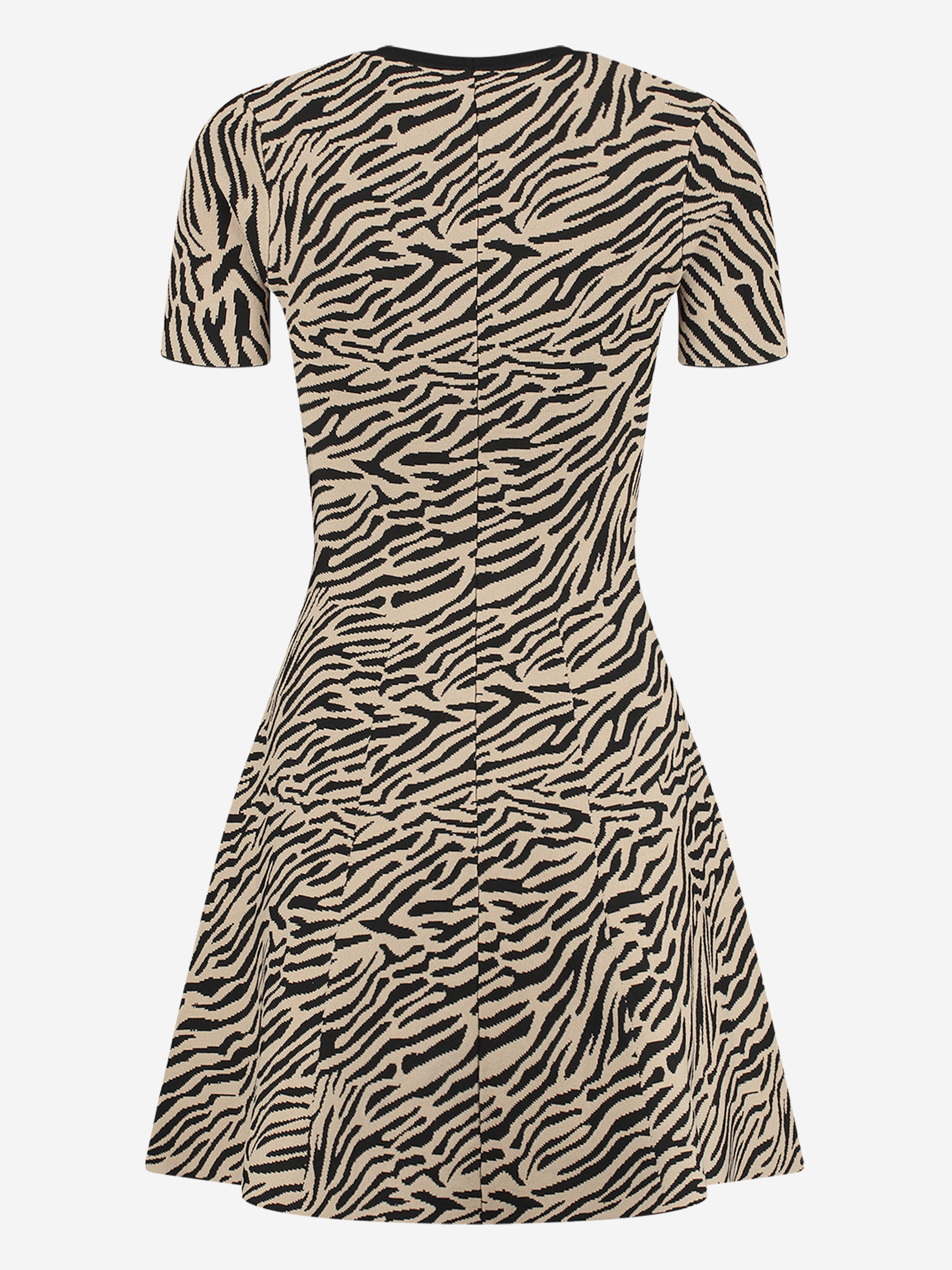 Ventura Zebra Dress