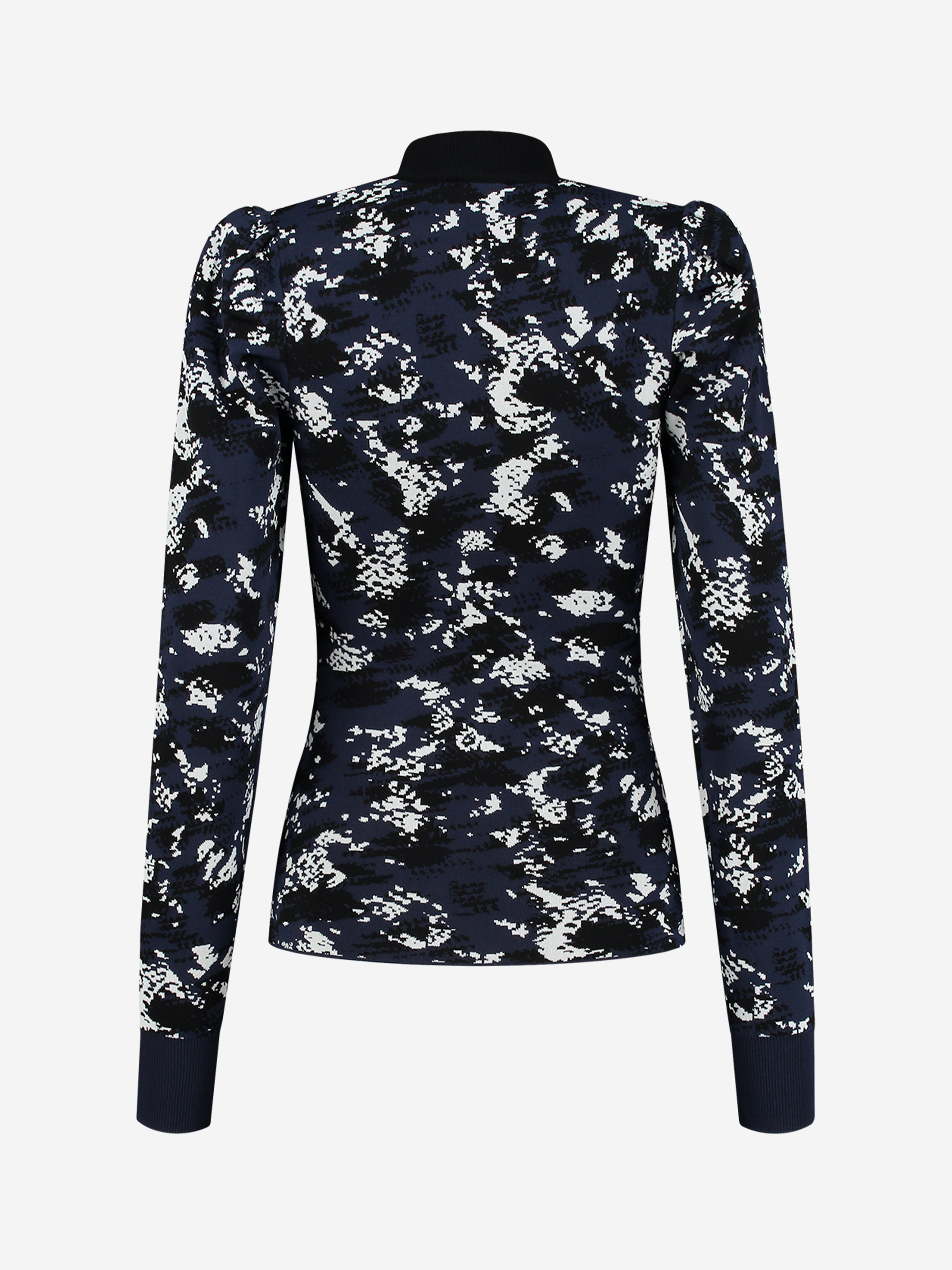 Phoenix Snake Top