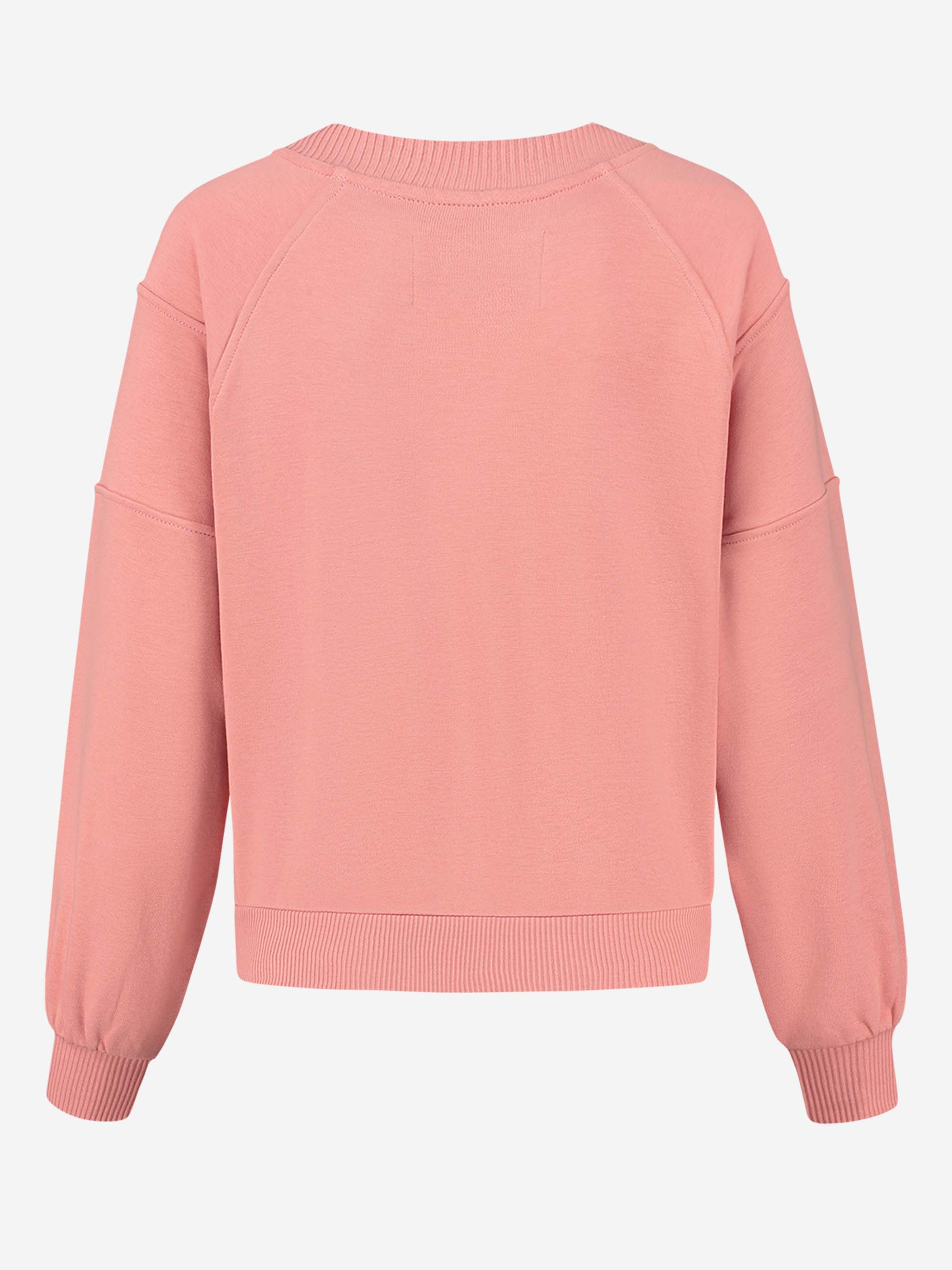 Cutseam Sport Sweater