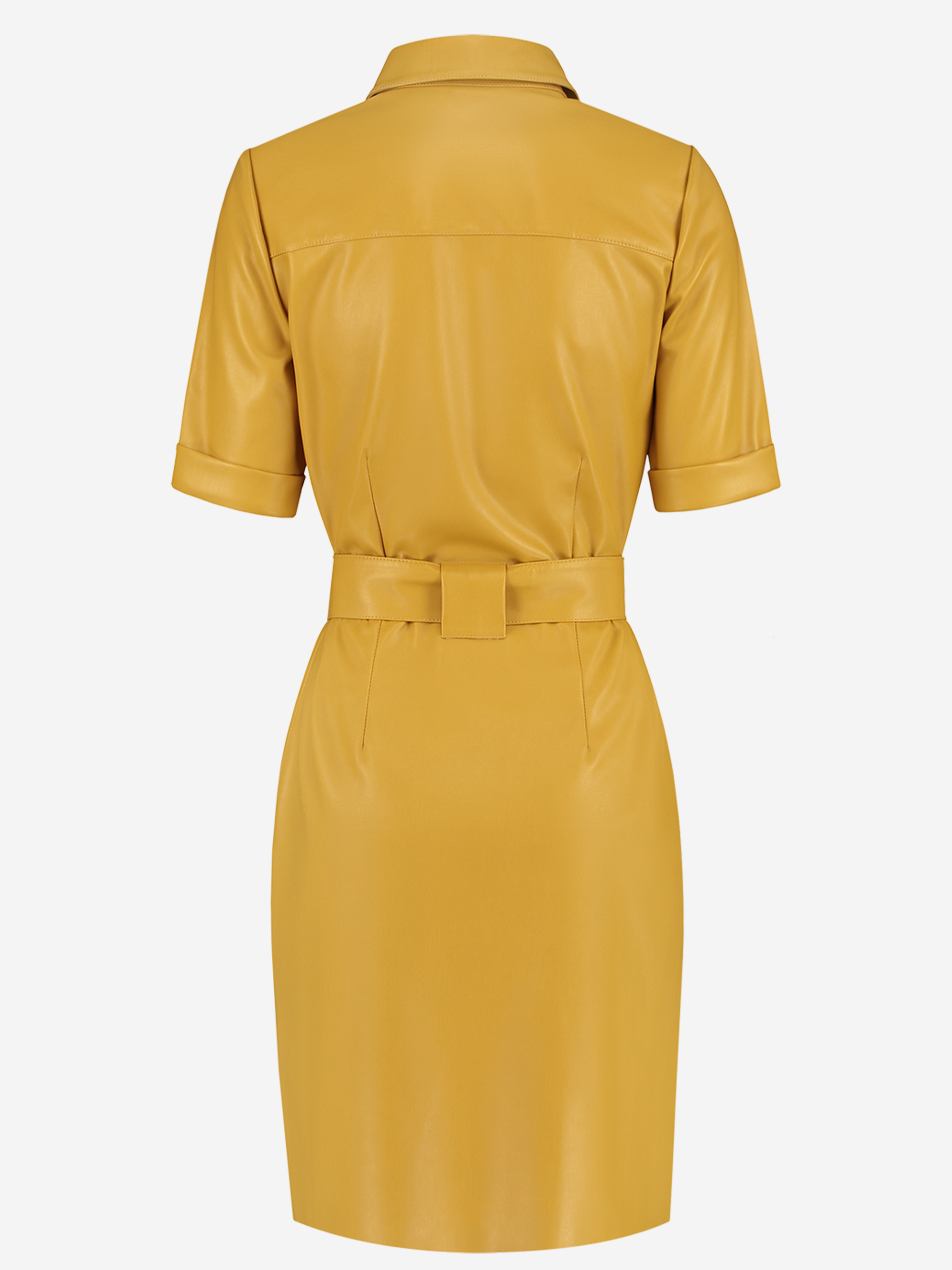 Maxim Belted Dress