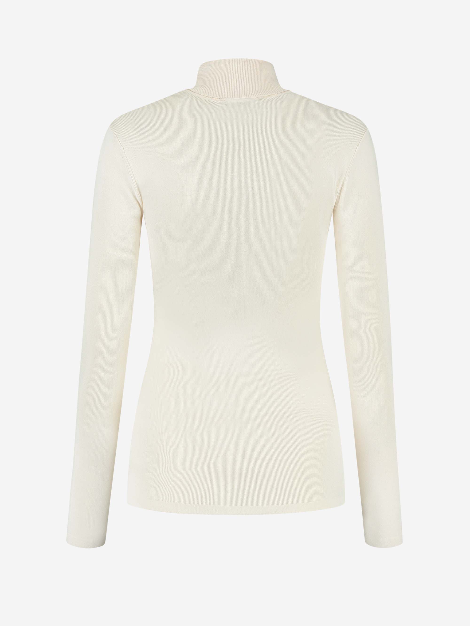 Joli Ski Turtle Neck