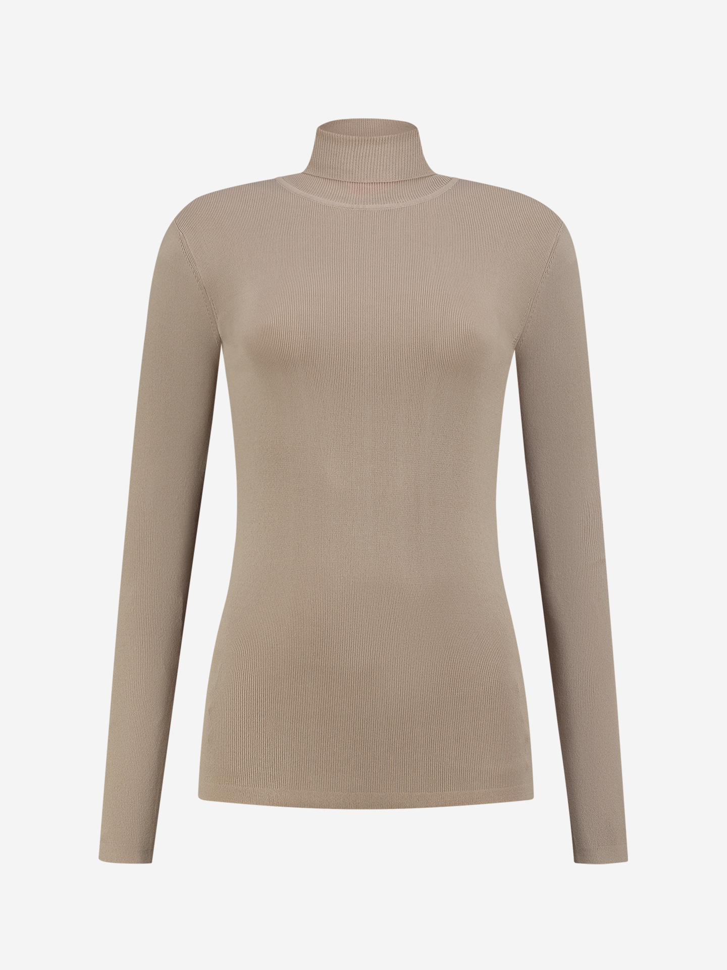 Fitted top with turtle neck