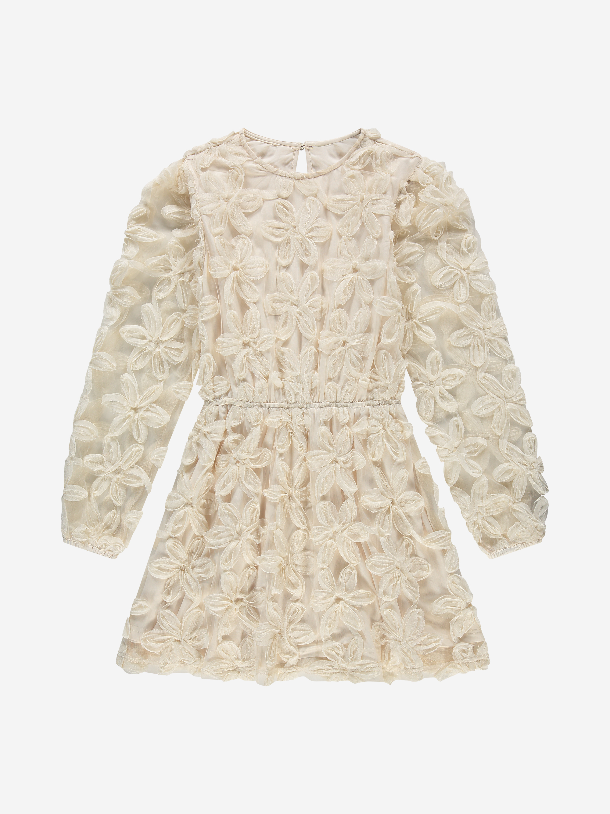 Dress with embroidered flowers and mesh balloon sleeves