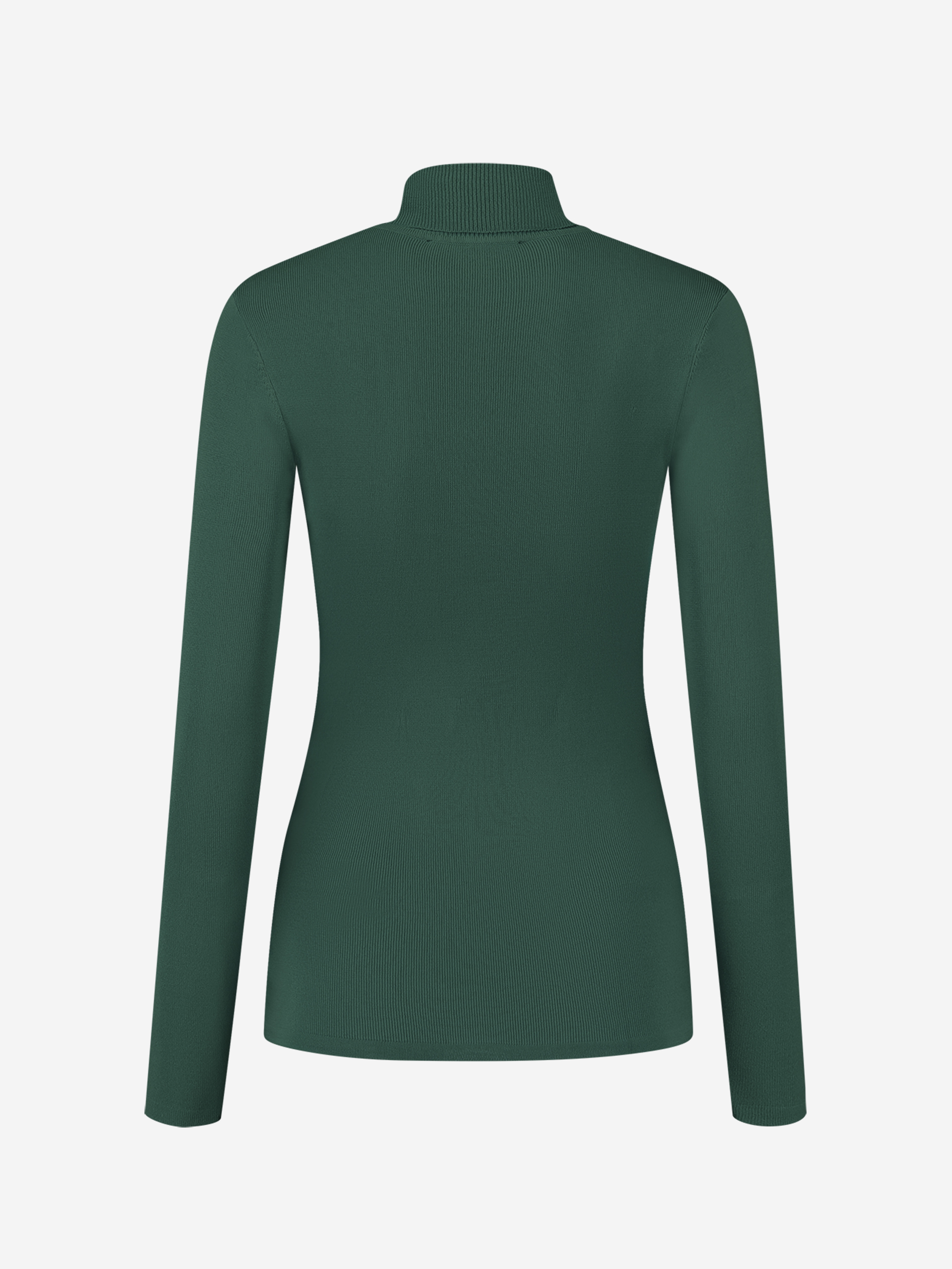 Jolie Turtle Top