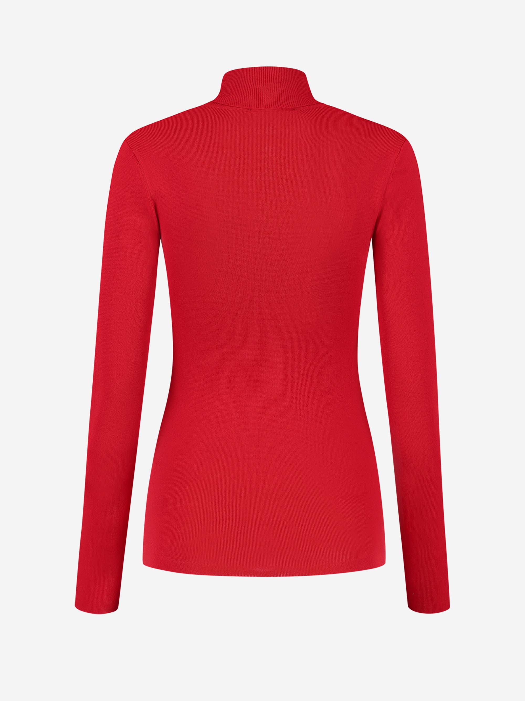 Joli Ski Turtle Neck