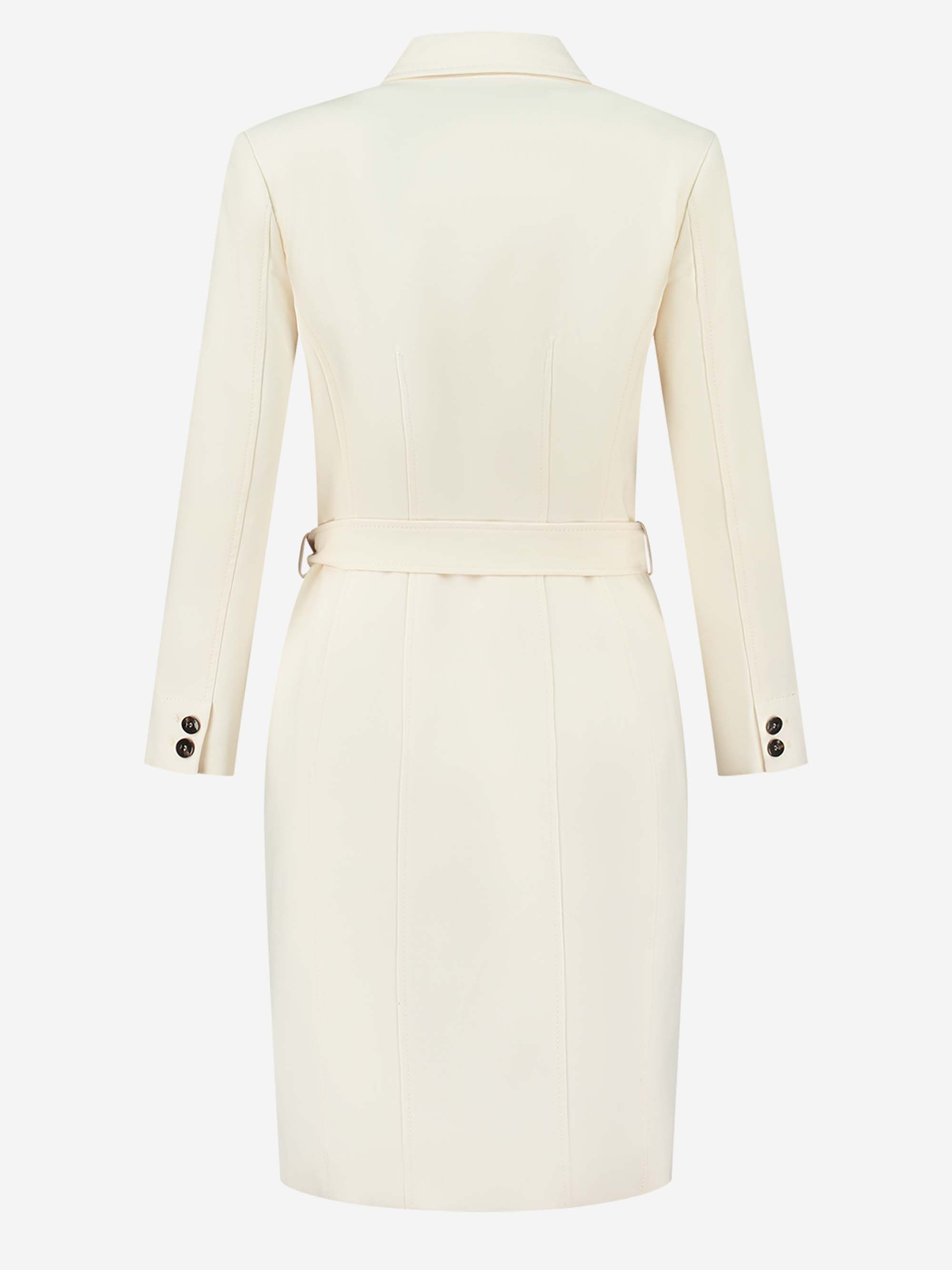 Nato Blazer Dress