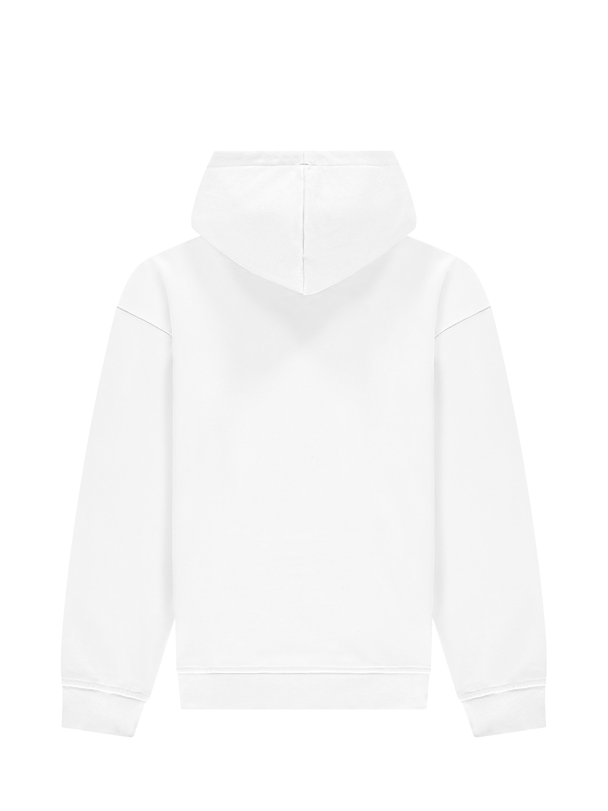 Icon Hoodie