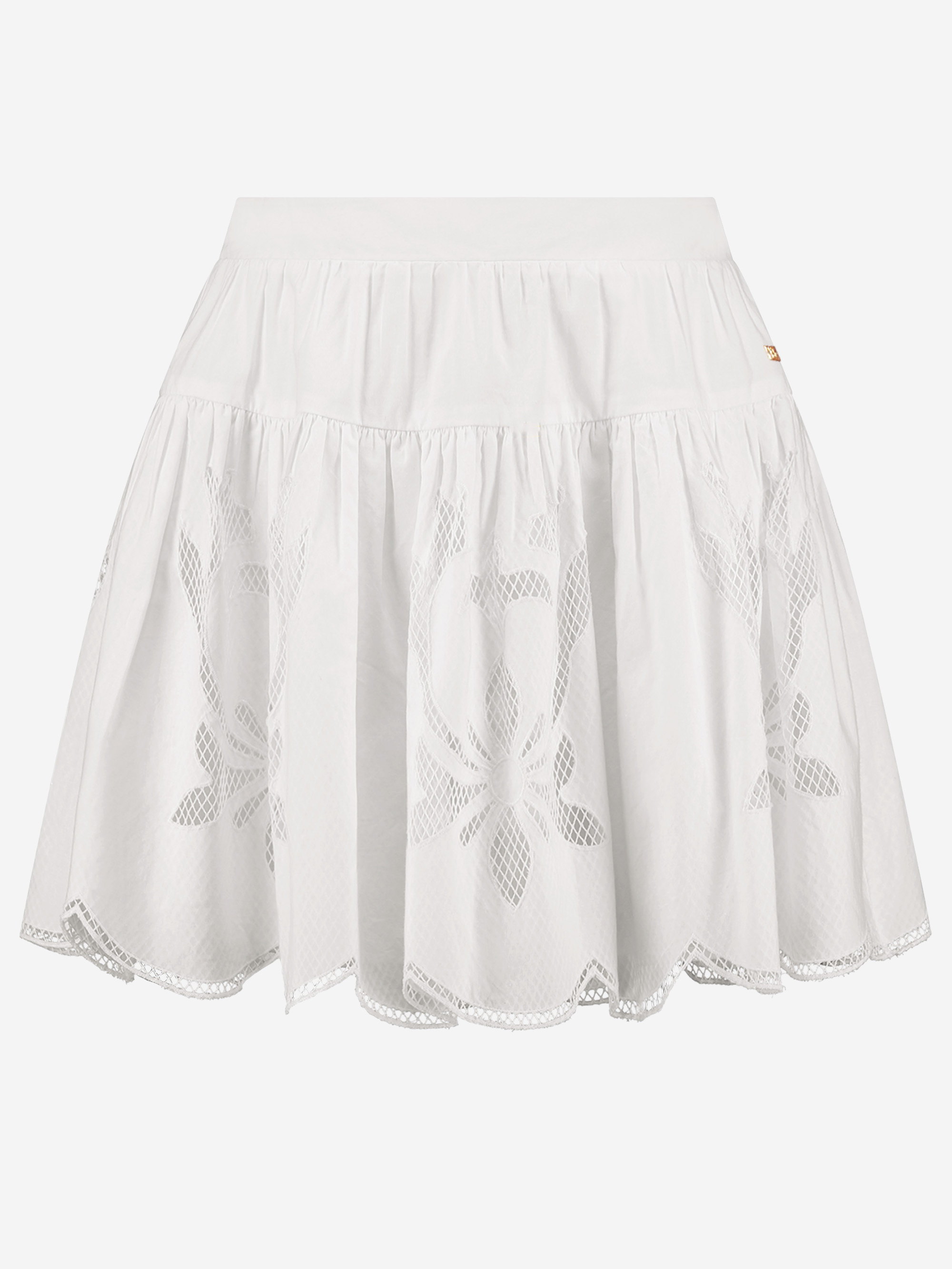 Skirt with embroidery