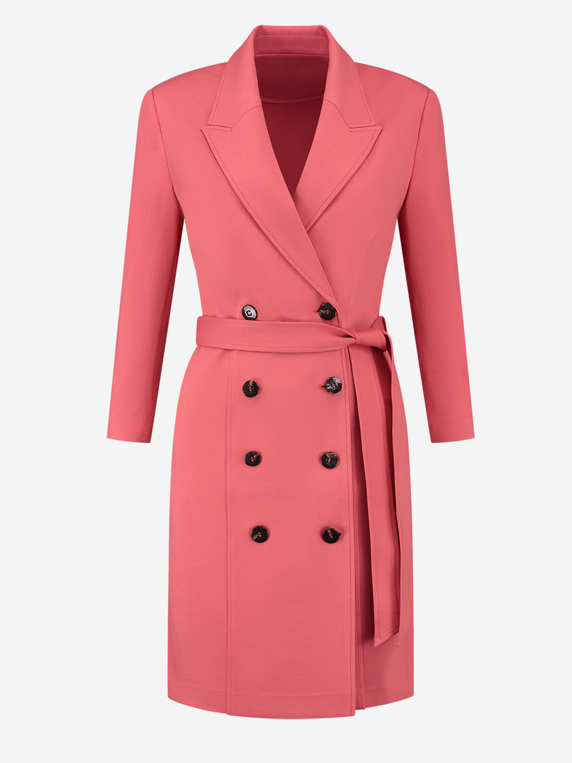 Nato Blazer Dress