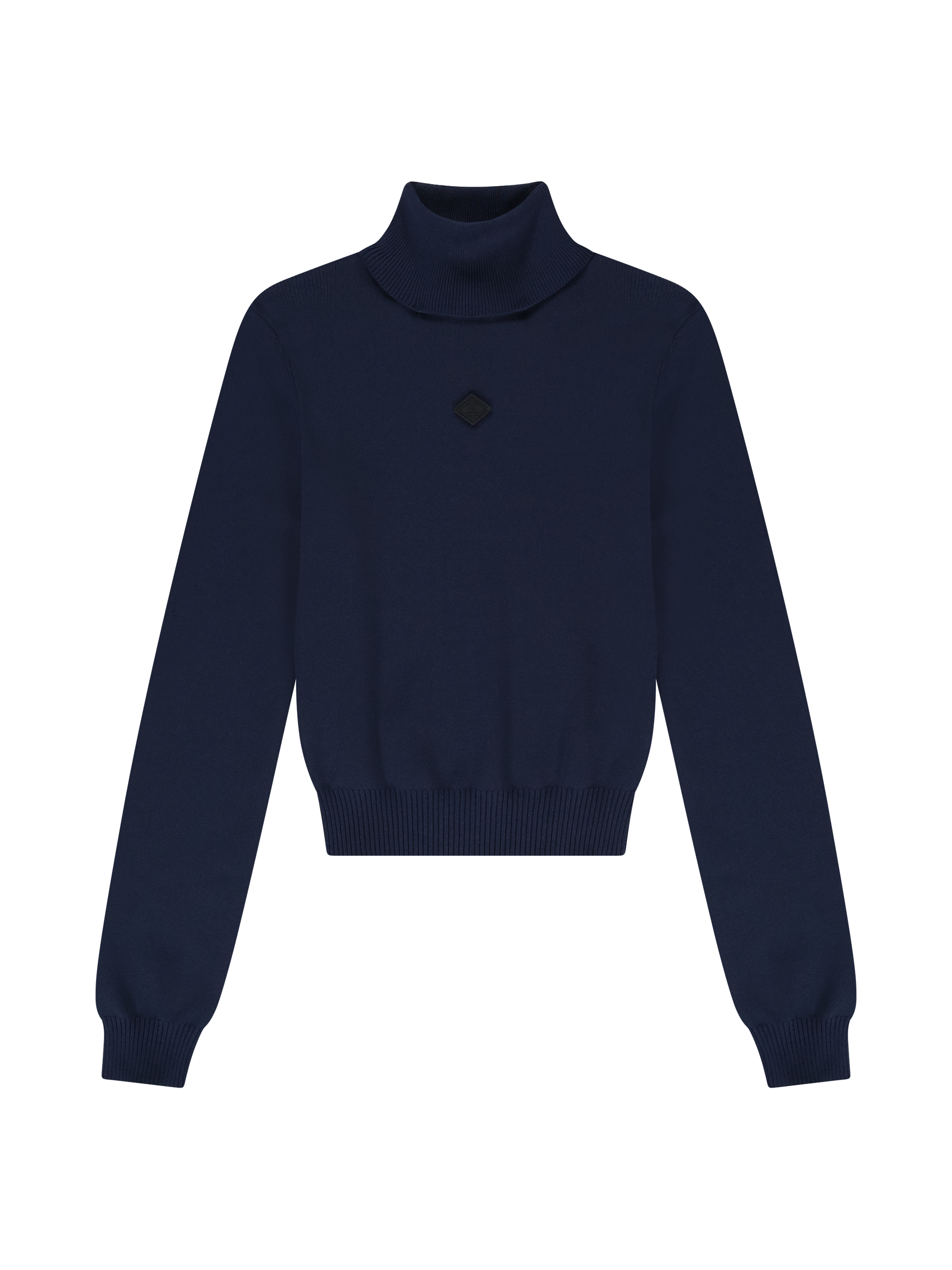 Fitted sweater with turtleneck 