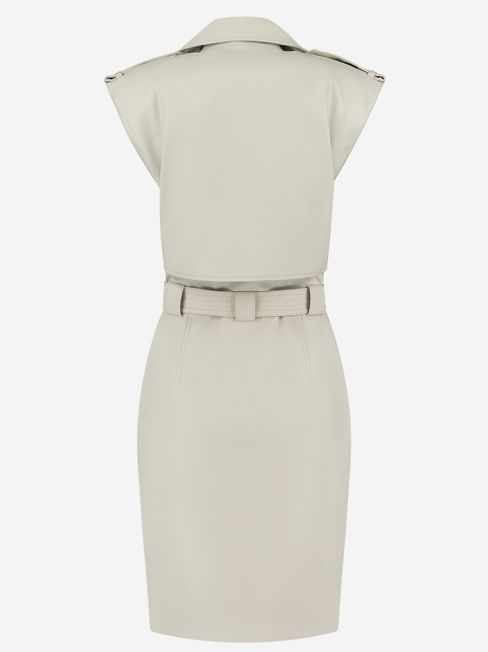 Magno Trench Dress