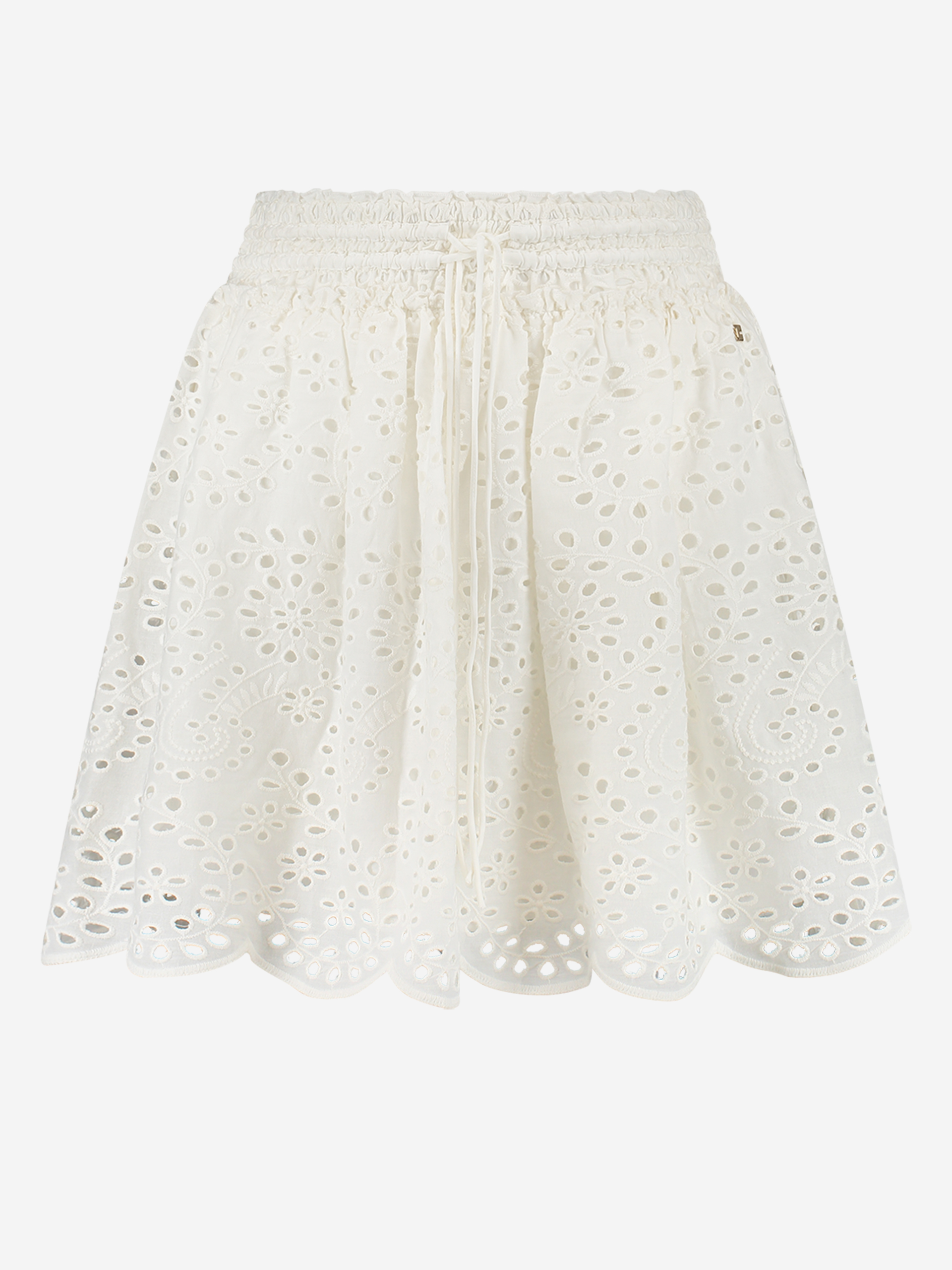 Embroidery A-line skirt 