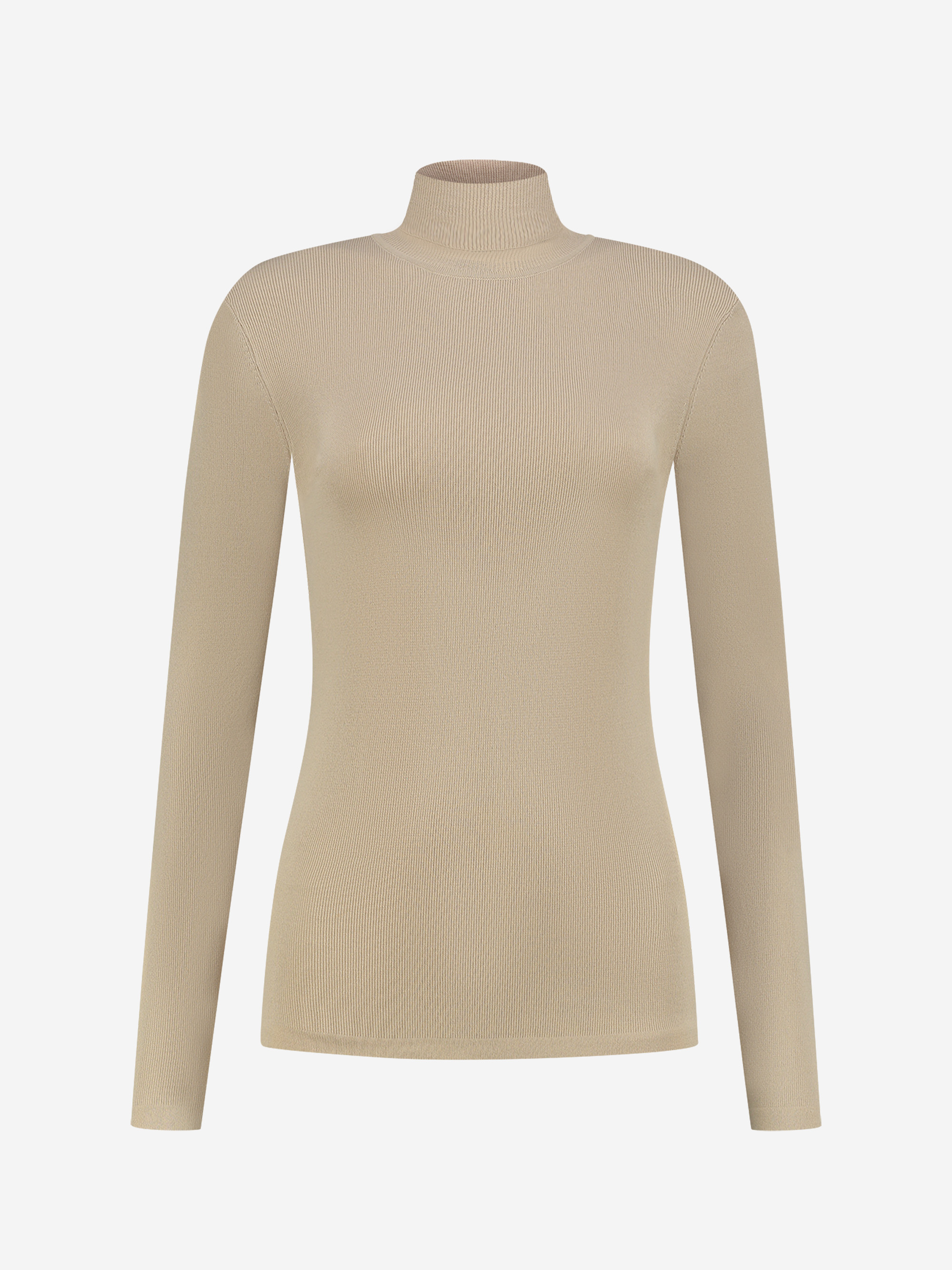 Fitted longsleeve with turtle neck  
