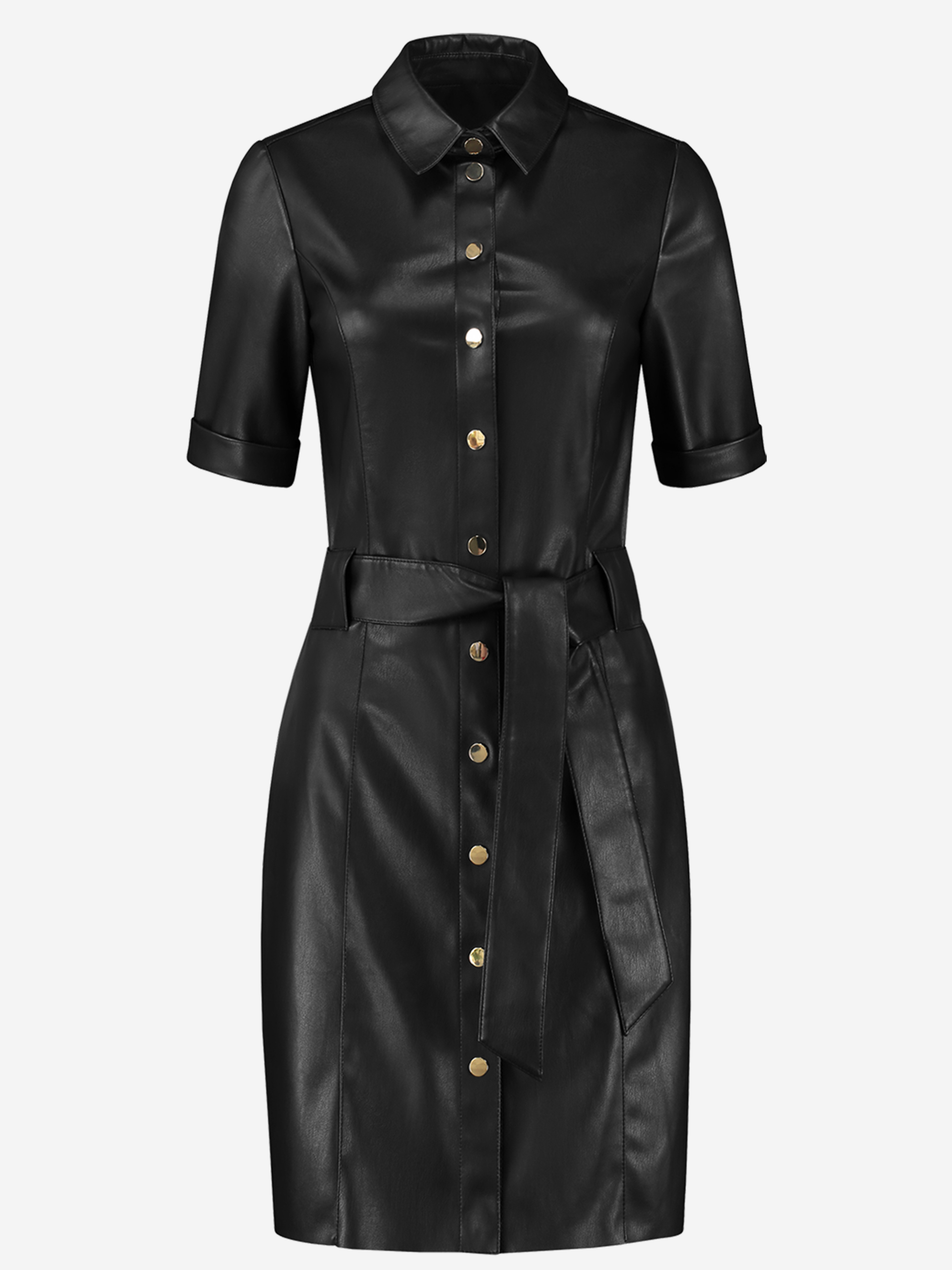 Maxim Belted Dress
