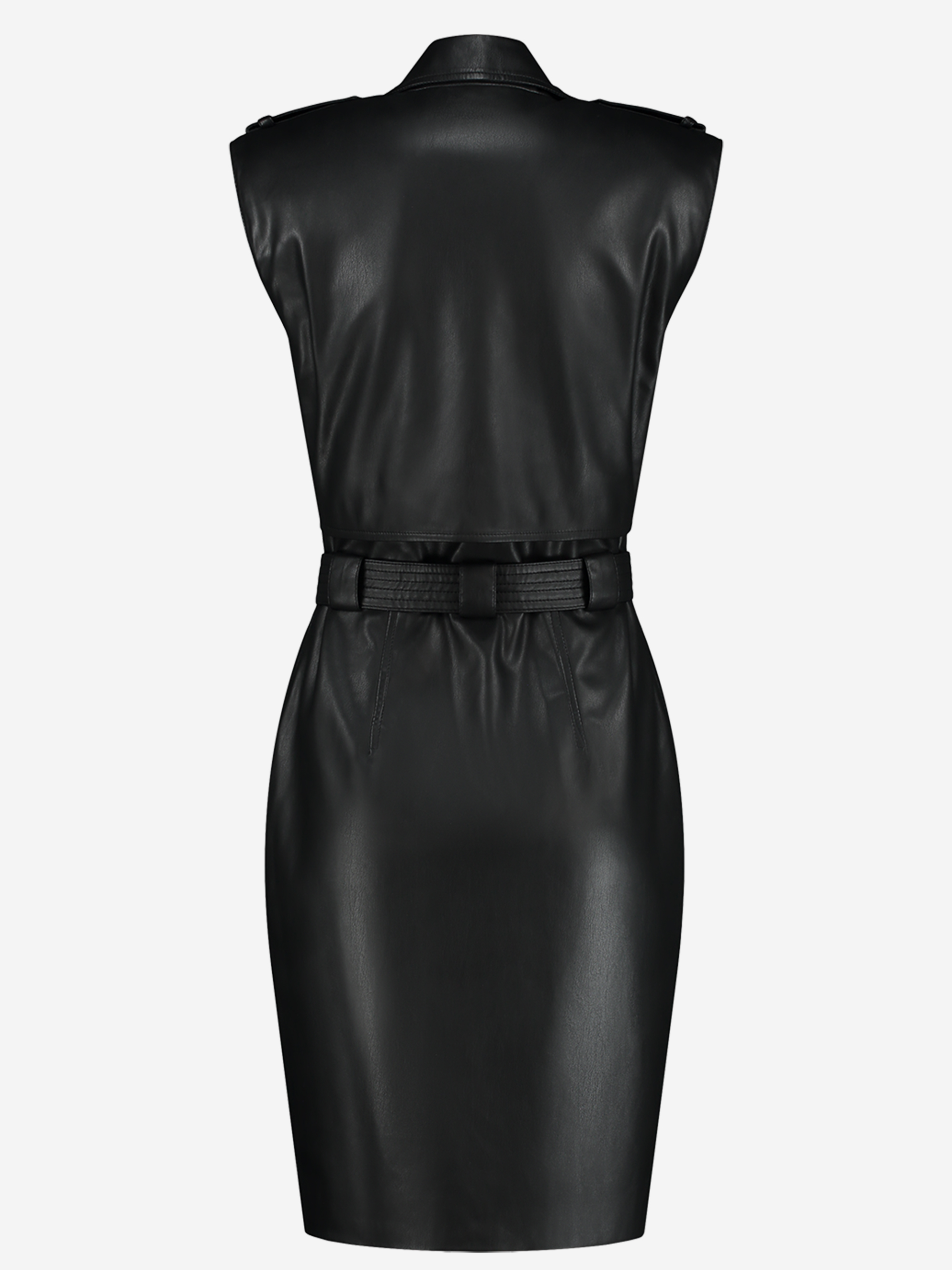 Magno Trench Dress