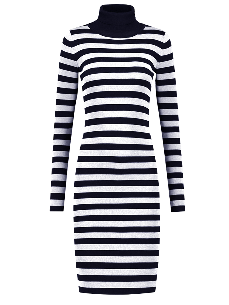 Jolie turtle dress