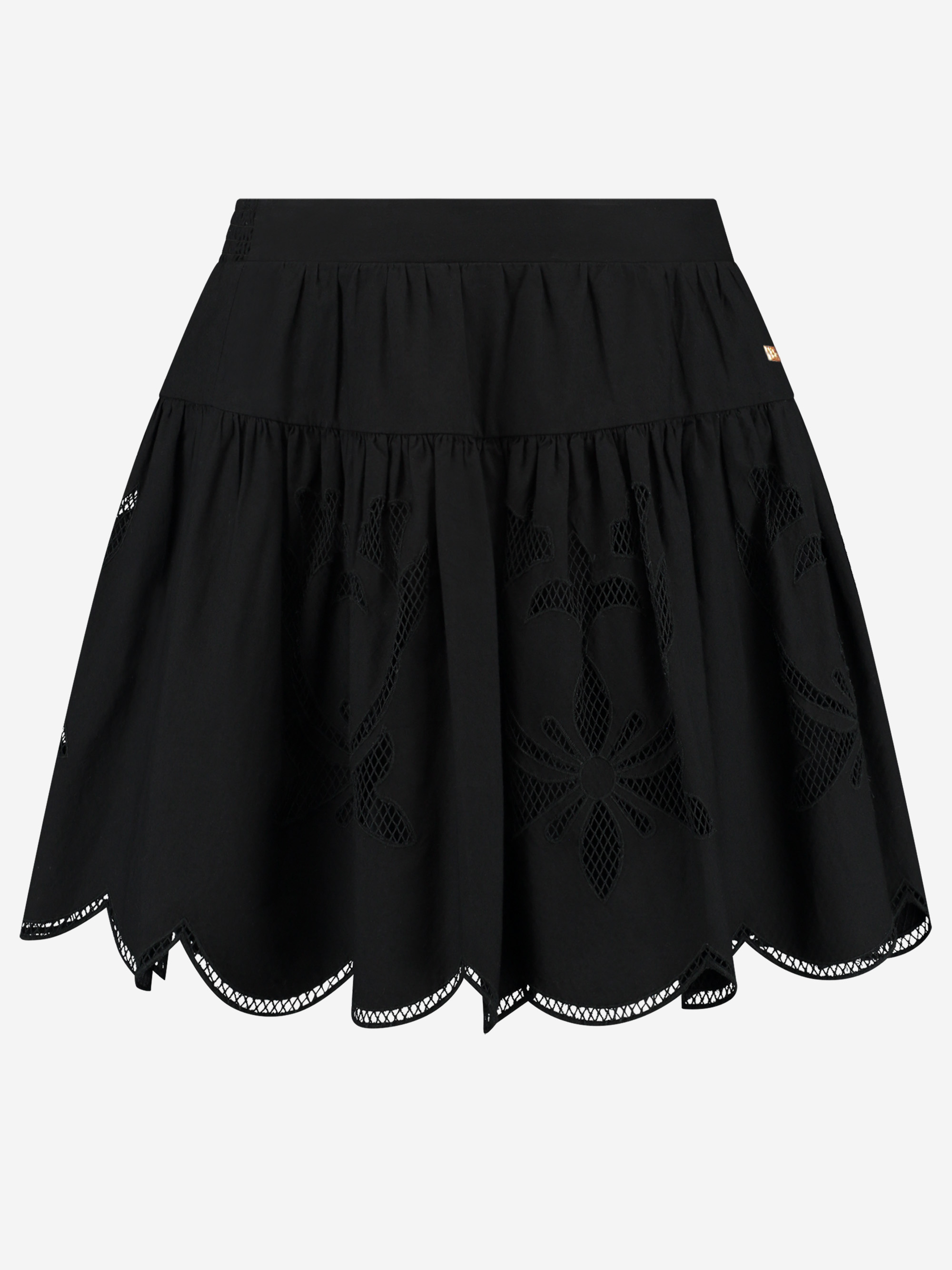 Skirt with embroidery
