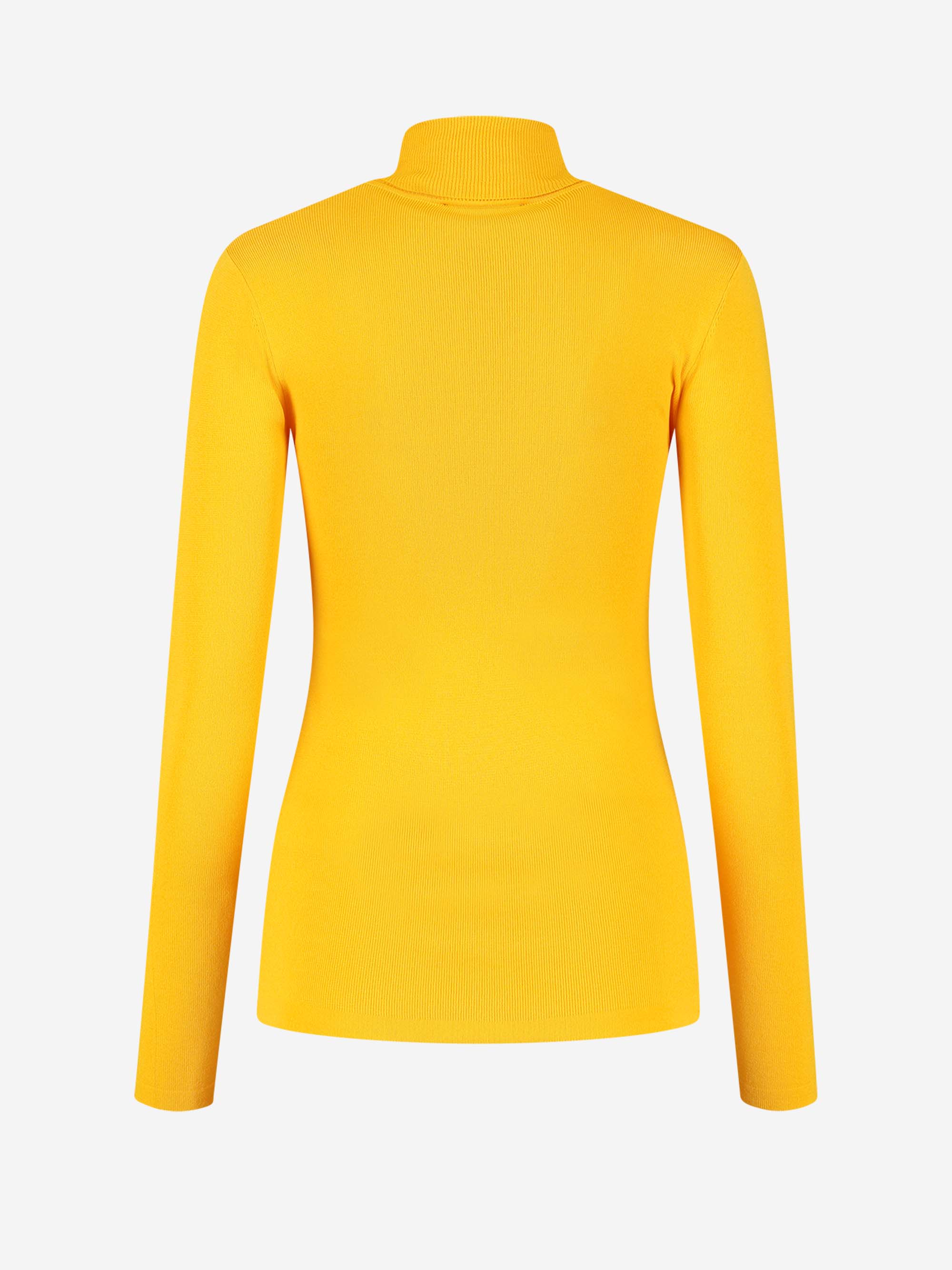 Joli Ski Turtle Neck